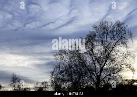 Blackheath comune, Wonersh, Guildford. Il 16 febbraio 2017. Mite e secco ha prevalso in tutta la Home Counties durante tutta la giornata. Nuvole Altocumulus prodotta una misteriosa skyscape su Blackheath comune in Wonersh, vicino a Guildford, nel Surrey. Foto Stock