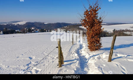 Im Hohnstein inverno, Sächsische Schweiz - Il comune Hohnstein in inverno, Elba montagne di arenaria Foto Stock