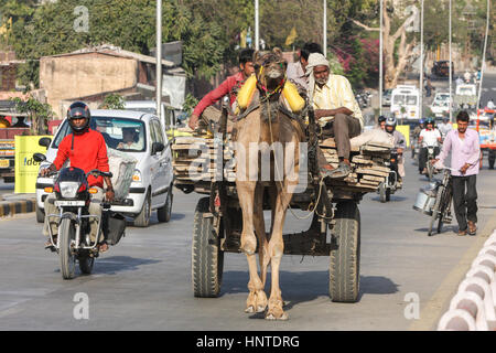 Camel,carrello,traffico,nel centro,d,Città Rosa,Jaipur Rajasthan,l'India,Indian,Asia,asiatica, Foto Stock