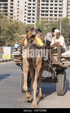 Camel,carrello,traffico,nel centro,d,Città Rosa,Jaipur Rajasthan,l'India,Indian,Asia,asiatica, Foto Stock