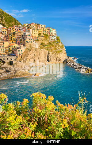 Manarola, Cinque Terre Liguria, Italia Foto Stock