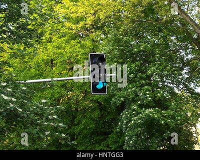 Semaforo nei pressi di alberi Foto Stock