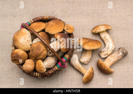 Gruppo di funghi porcini sulla biancheria. Il colore naturale e texture. I funghi nel cestello Foto Stock