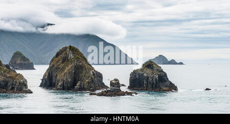 Costa sul mare, cielo nuvoloso, Queen Charlotte Sound, Totaranui, Picton, Southland, Nuova Zelanda Foto Stock