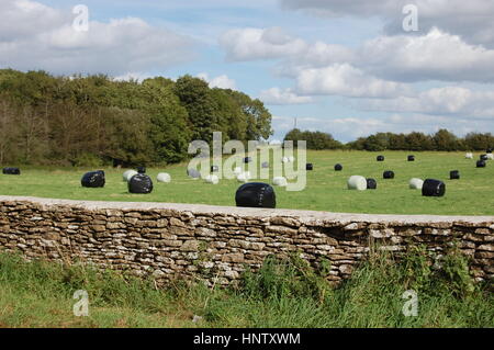 Grandi balle di fieno, avvolte per insilato, in plastica bianca e nera. Sembra che questo contadino del Cotswold voglia giocare a bozze! Foto Stock