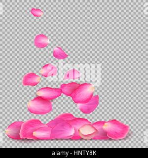 Sfondo astratto con realistica battenti rosa petali di rosa su un bianco sfondo transparentt. Illustrazione Vettoriale. EPS 10. Illustrazione Vettoriale