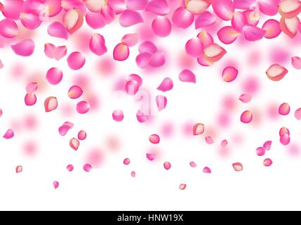La caduta del vettore di rose petali di rosa. Sfondo floreale Illustrazione Vettoriale