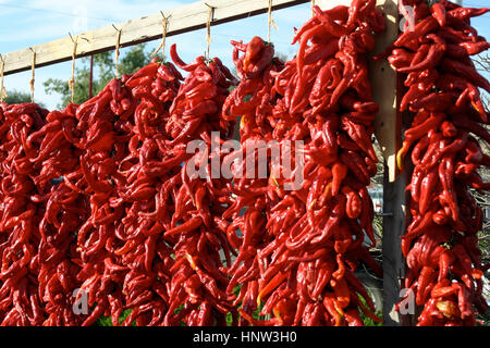 Essiccati peperoni rossi appesi all'aperto Foto Stock