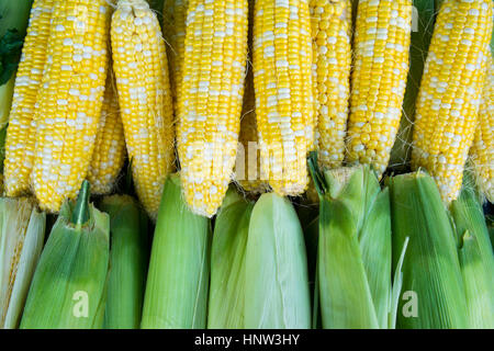 Mais dolce al mercato Foto Stock