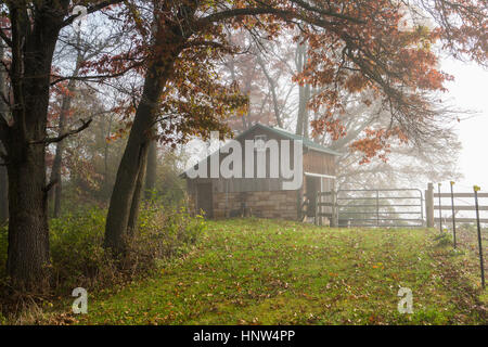 Granaio e recinzione in autunno Foto Stock