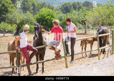 Giovane maschio e femmina sposi come accarezzare i cavalli da paddock recinzione al maneggio rurale Foto Stock