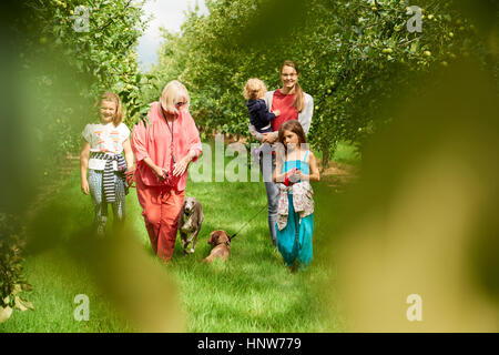 Famiglia cane a piedi in apple Orchard Foto Stock