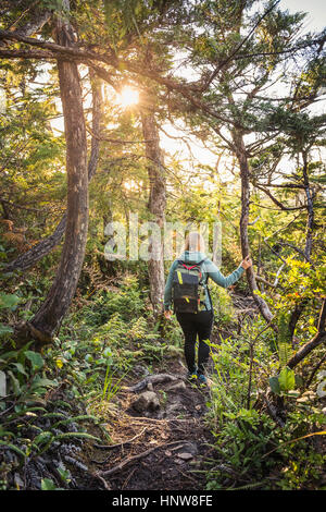 Escursionista femmina trekking nella foresta, Pacific Rim National Park, l'isola di Vancouver, British Columbia, Canada Foto Stock