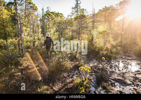 Escursionista femmina trekking attraverso la foresta pluviale soleggiato, Pacific Rim National Park, l'isola di Vancouver, British Columbia, Canada Foto Stock