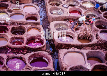 La conceria, Medina, sito Patrimonio Mondiale dell'UNESCO, Fez, in Marocco, Africa. Foto Stock