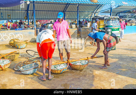 NEGOMBO, SRI LANKA - Novembre 25, 2016: i lavoratori si portano i cesti di pesce sul bastone per caricare in macchina, il 25 novembre a Negombo. Foto Stock