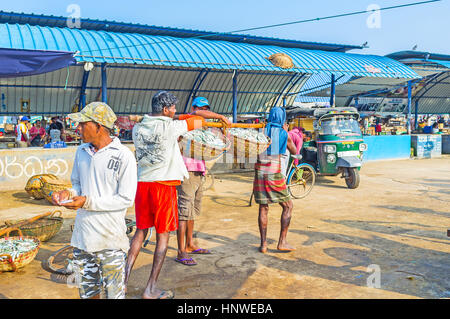 NEGOMBO, SRI LANKA - Novembre 25, 2016: due lavoratori portano il pesce in cesti sul bastone per caricare in tuk tuk per la vendita all'ingrosso di acquirente, il 25 novembre a Foto Stock