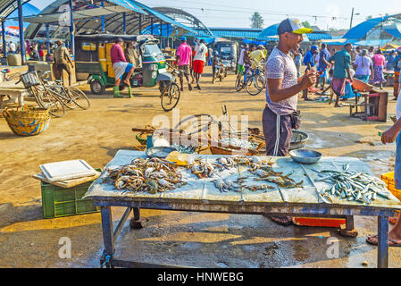 NEGOMBO, SRI LANKA - Novembre 25, 2016: La piccola stalla presso il principale mercato del pesce offre i granchi e acciughe, il 25 novembre a Negombo. Foto Stock