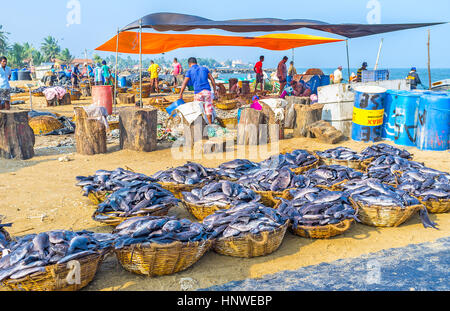 NEGOMBO, SRI LANKA - Novembre 25, 2016: il porto di pesca dispone di area per la lavorazione del pesce - qui individuare il taglio dei ponti, aree per pulire il pesce e bas Foto Stock