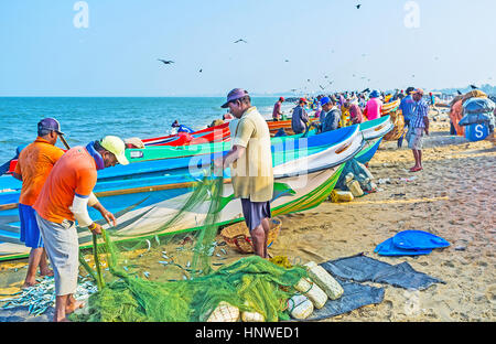 NEGOMBO, SRI LANKA - Novembre 25, 2016: i pescatori di ottenere pesci fuori della rete accanto a loro barca sulla riva del mare, il 25 novembre a Negombo. Foto Stock