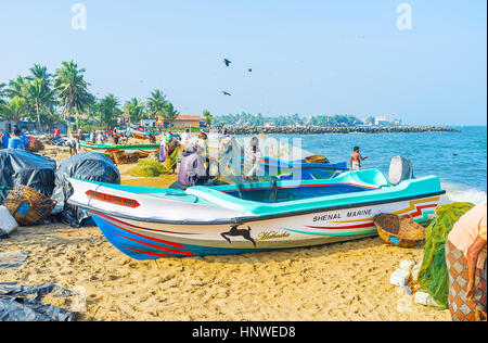 NEGOMBO, SRI LANKA - Novembre 25, 2016: i pescatori a lavorare dalla mattina presto, ogni giorno essi andare al mare per la vendita delle loro catture al mercato locale, Foto Stock