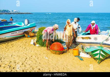 NEGOMBO, SRI LANKA - Novembre 25, 2016: Tutte le catture della pesca equipaggio si inserisce in un cesto, il 25 novembre a Negombo. Foto Stock