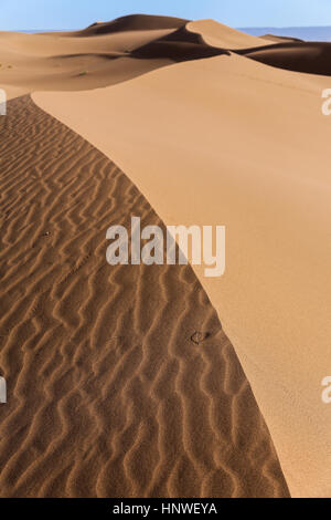 Paesaggio del deserto marocchino. Sahara al confine con l'Algeria Foto Stock