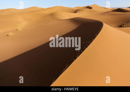 Paesaggio del deserto marocchino. Sahara al confine con l'Algeria Foto Stock