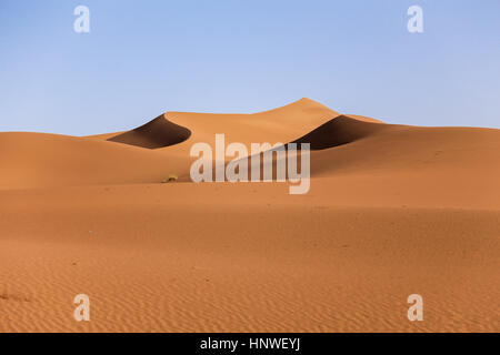 Paesaggio del deserto marocchino. Sahara al confine con l'Algeria Foto Stock