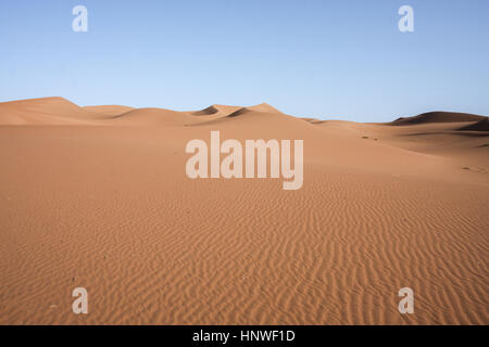 Paesaggio del deserto marocchino. Sahara al confine con l'Algeria Foto Stock