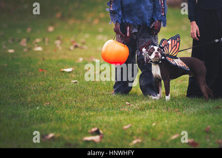 Amici in costumi di Halloween con cane vestito come butterfly Foto Stock