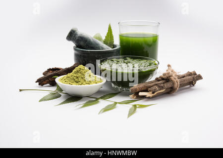 Ayurvedico medicinali Azadirachta indica o Neem foglie in mortaio e pestello con neem pasta, succo di frutta e ramoscelli, polvere e olio, il fuoco selettivo Foto Stock