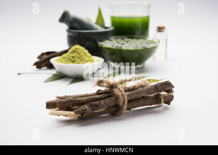 Ayurvedico medicinali Azadirachta indica o Neem foglie in mortaio e pestello con neem pasta, succo di frutta e ramoscelli, polvere e olio, il fuoco selettivo Foto Stock