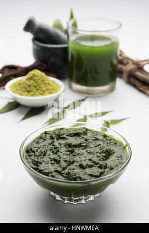 Ayurvedico medicinali Azadirachta indica o Neem foglie in mortaio e pestello con neem pasta, succo di frutta e ramoscelli, polvere e olio, il fuoco selettivo Foto Stock