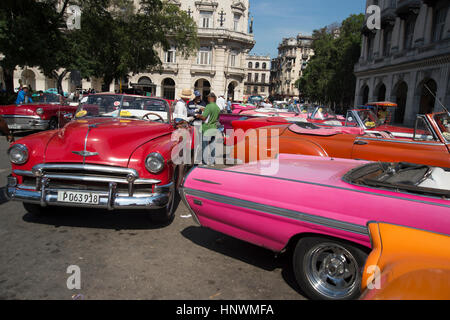 Dipinto luminosamente completamente ristrutturata anni cinquanta vetture americane parcheggiato insieme nel centro di Havana Cuba Foto Stock