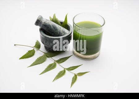 Ayurvedico medicinali Azadirachta indica o Neem foglie in mortaio e pestello con neem pasta, succo di frutta e ramoscelli, polvere e olio, il fuoco selettivo Foto Stock