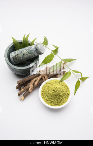 Ayurvedico medicinali Azadirachta indica o Neem foglie in mortaio e pestello con neem pasta, succo di frutta e ramoscelli, polvere e olio, il fuoco selettivo Foto Stock