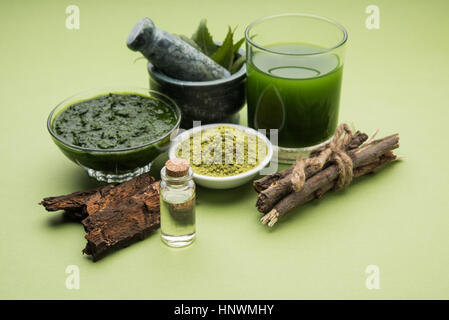 Ayurvedico medicinali Azadirachta indica o Neem foglie in mortaio e pestello con neem pasta, succo di frutta e ramoscelli, polvere e olio, il fuoco selettivo Foto Stock