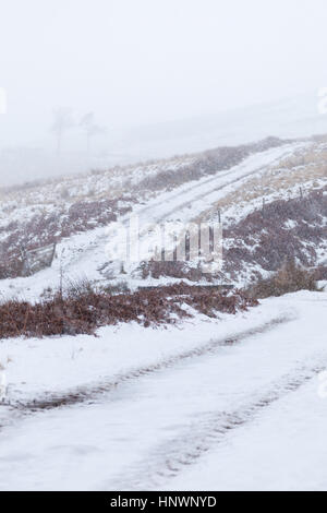 Off road via che conduce verso le colline con la caduta della neve e sul terreno, Ingram Valley, Northumberland Foto Stock