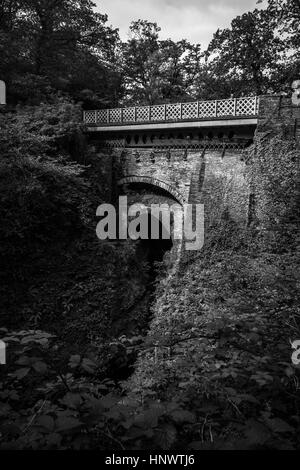 Ponte del Diavolo, Vale of Rheidol, Galles Foto Stock