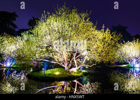 Scena notturna degli alberi del West Lake in Hangzhou Foto Stock
