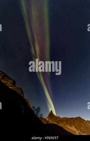 Luci del nord (Aurora Boreale) visto su Senja isola in autunno, Arctic Norvegia Foto Stock