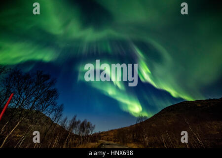 Luci del nord (Aurora Boreale) visto su Senja isola in autunno, Arctic Norvegia Foto Stock