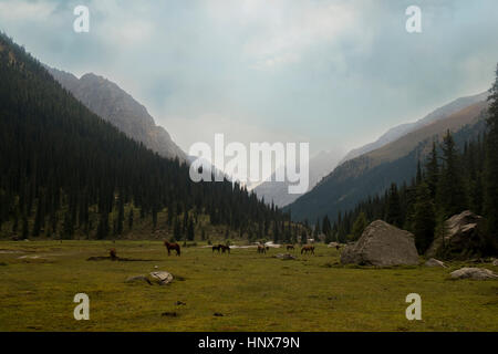 Allevamento di cavalli nella valle di montagna paesaggio, Kirghizistan, in Asia centrale Foto Stock