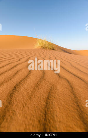 Pattern in sabbia, deserto Erg Chebbi, Marocco Foto Stock