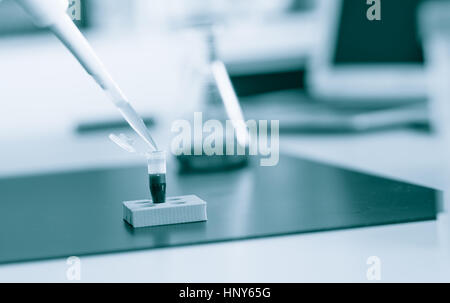 Strip PCR provette e micropipetta nel laboratorio di genetica. Tonica foto Foto Stock