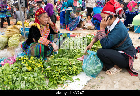 Donna Hmong vendere la sua casa coltivati ortaggi a foglia verde, mefarmers mercato, il cliente con il suo telefono cellulare, costumi natii, Bac Ha Farmers Market. Foto Stock