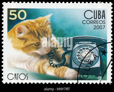 BUDAPEST, Ungheria - 16 febbraio 2017: timbro stampato in Cuba mostra il gatto domestico, circa 2007 Foto Stock