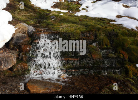 Una piccola cascata in Banff NP lungo la hwy 1A Foto Stock