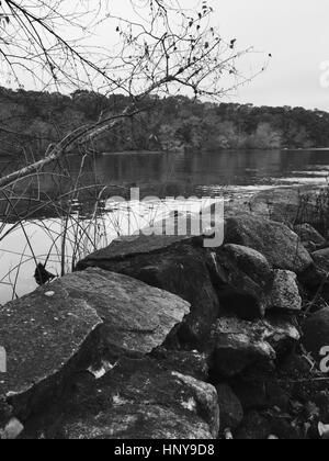 Foto in bianco e nero di una parete di roccia nei pressi di un laghetto Foto Stock